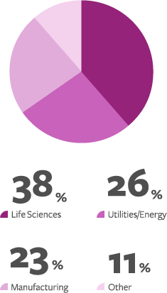 Clients by Industry